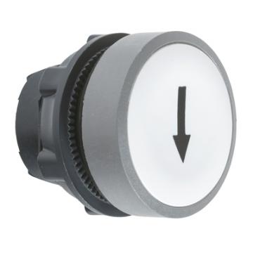  t�te BP O22 marqu� blanc 
