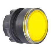  T�te B P lumin DEL aff O22 J 