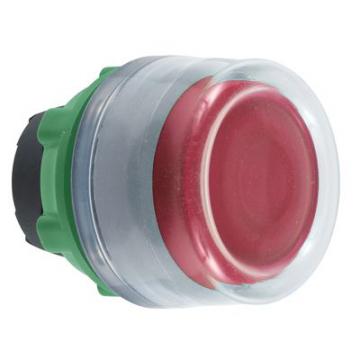  tte BP D22 capuchonn rouge 