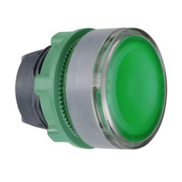  tte BP lumineux D22 vert 