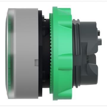  t�te BP lumineux O22 vert 
