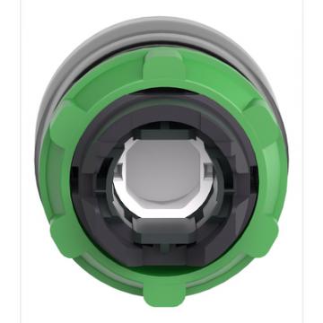  t�te BP lum O22 vert capuchon 