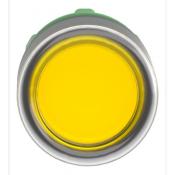  T�te B P lumin DEL aff C O22 J 