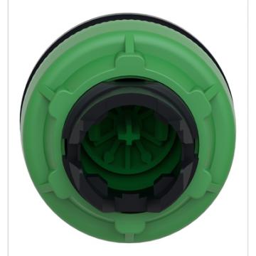  t�te BP flush marqu� vert 