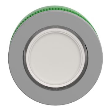  t�te BP lumin flush O22 blanc 