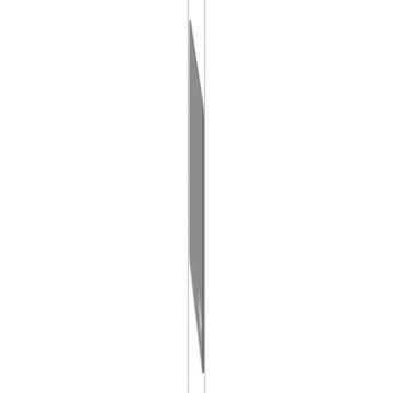  PLASTRON VIERGE 200X100 MM 